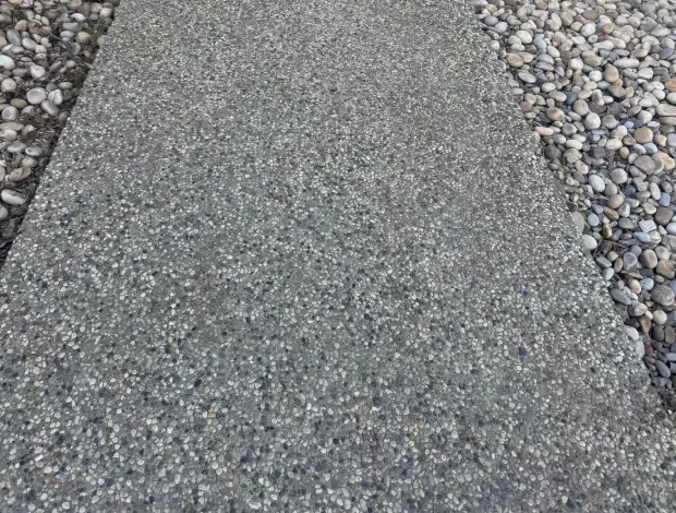 Exposed aggregate walkway with a textured grey finish beside a landscaped yard