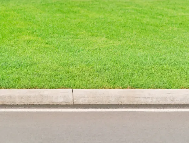 Extruded concrete curbing forming a clean border along a landscaped area