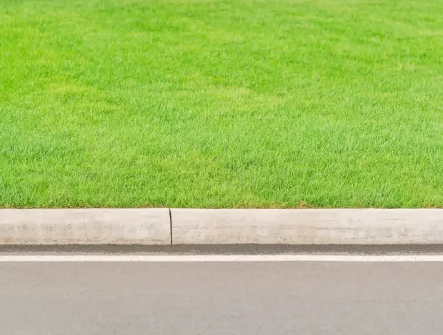 Extruded concrete curbing forming a clean border along a landscaped area